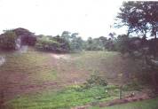 BareLand